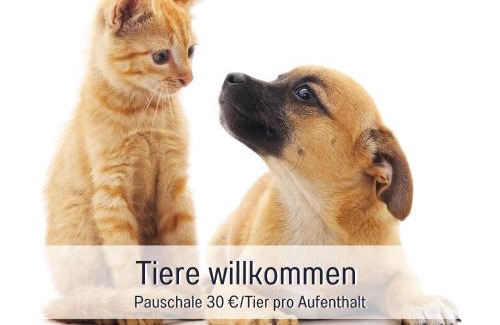 Ueberlingen Apartment | PENTHOUSE - 3 Schlafzimmer- sonnige Dachterrasse -Whirlpool & Alpenblick - Perfekt für Romantik oder Familienurlaub mit Kind, Hund willkommen - by FerienWohnenAmSee -