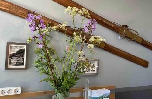 Avoriaz Apartment | Penthouse Apartment 28m² in Avoriaz right next to 3 ski lifts, lake view