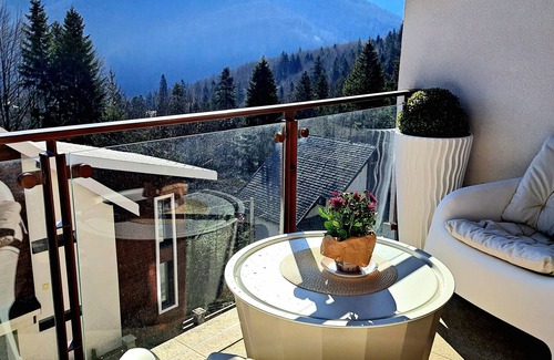 Sinaia Apartment | PENTHOUSE IN SINAIA, FURNICA, LANGA CASTELUL PELES SI TELEGONDOLA
