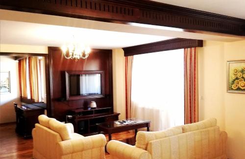 Timisoara Apartment | Penthouse Renașterii Amazonia