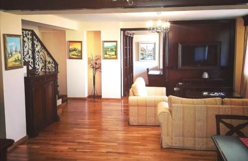 Timisoara Apartment | Penthouse Renașterii Amazonia