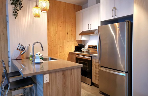 Centre-Ville Condo | Penthouse/The Central/With Indoor Parking