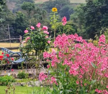Abergele Bed & Breakfast | Pentre ISAF