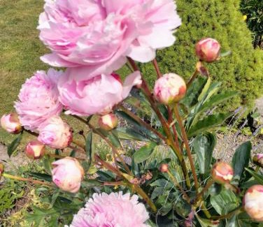 Abergele Bed & Breakfast | Pentre ISAF