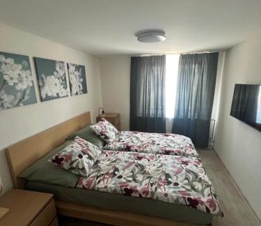Ostrozska Nova Ves Apartment | Penzion 54