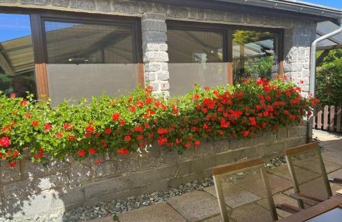 Sluknov Apartment | Penzion a restaurace Balaton