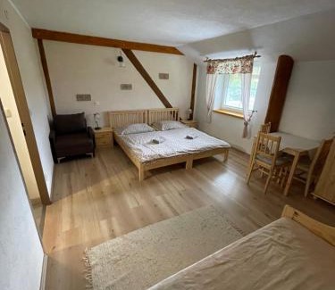 Pasohlavky House | Penzion a Vinárna Velký dvůr