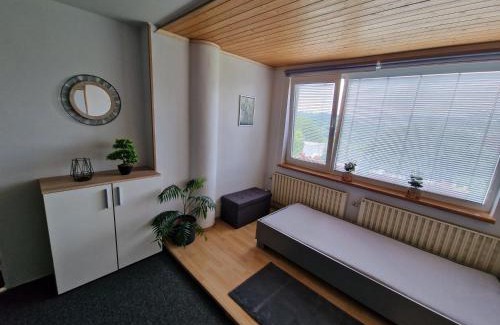 Zlin Apartment | Penzion ALICE