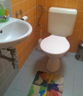 Lipova-Lazne House | Penzion Lipůvka