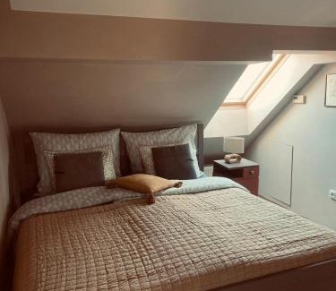 Mnisek pod Brdy Apartment | Penzion Patina House Barevný Svět