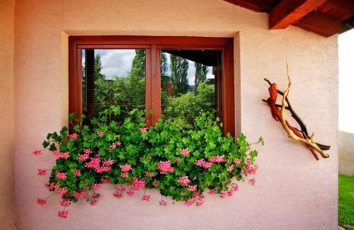 Poprad House | Penzion Plesnivec