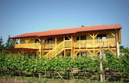 Sakvice Apartment | PENZION POD PALAVU
