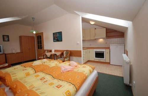 Humpolec Hotel | Penzion Růže