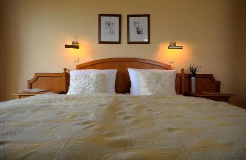 Moravany nad Vahom Hotel | Penzion Tematin