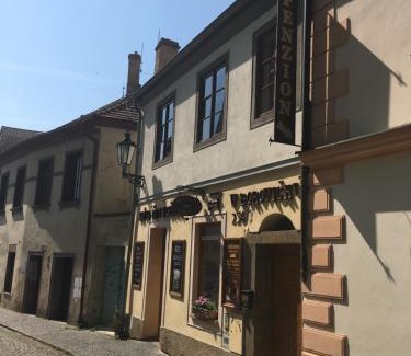Litomerice House | Penzion U Borovičků
