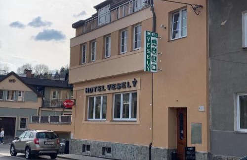 Zelezny Brod Hotel | Penzion Vesely