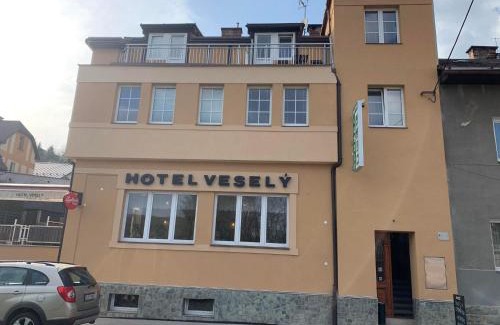 Zelezny Brod Hotel | Penzion Vesely