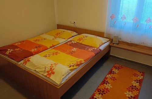 Dolni Moravice House | Penzion Vincent