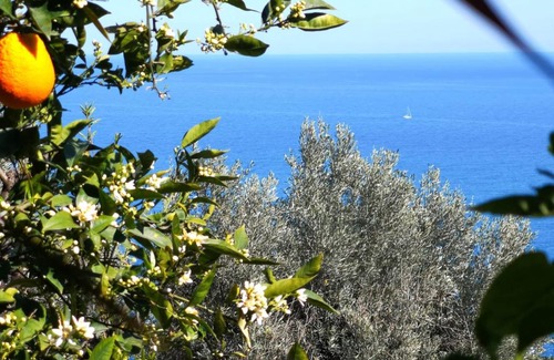 Acireale Apartment | Pepa House