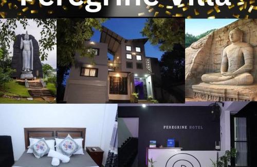 New Town Bed & Breakfast | PEREGRINE Villa