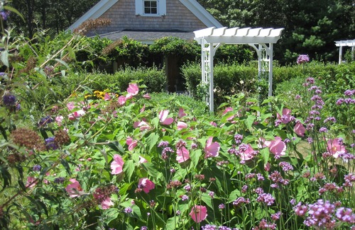 Edgartown Cottage | Perfect Adorable Cottage Retreat Among Award-Winning Gardens