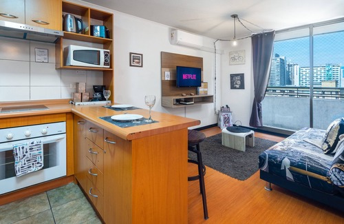 Downtown Santiago Apartment | Perfect Apartmen For Lover Of Travels. Best Located, Full Equiped, Include A/C!