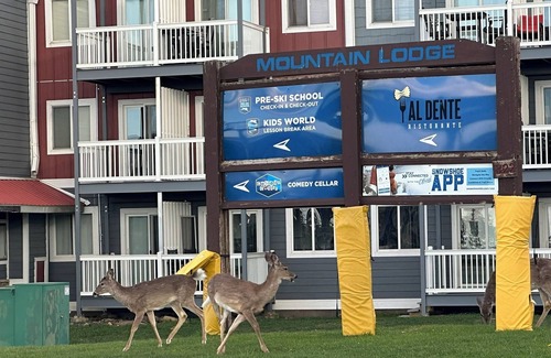 Snowshoe Condo | Perfect for mtn bikers at Village- 1st Floor - New gated back porch access