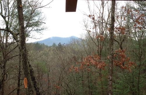 Dial Cabin | Perfect Getaway Lots 2 Do! Upscale Real-Log Cabin & Great Rate! Families/Couples