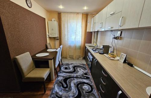 Petrosani Apartment | Perfect home Ground floor