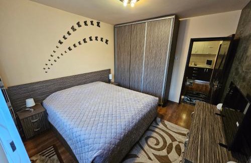 Petrosani Apartment | Perfect home Ground floor