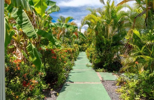 Dampierre House | Perle des Caraibes N°18