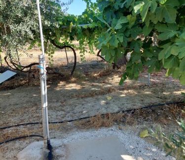 Pano Arodhes House | Pervolaris Cottages 1