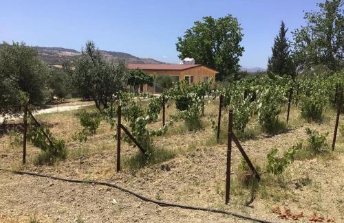 Pano Arodhes House | Pervolaris Cottages 2