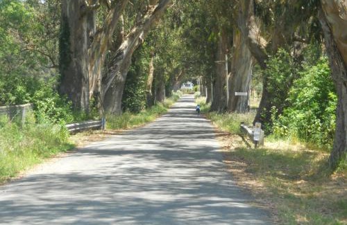 Pescadero House | Pescadero Creek Inn
