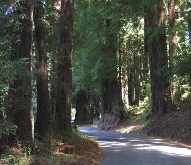 Pescadero House | Pescadero Creek Inn