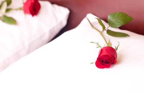 Santo Amaro Hotel | Pestana Palace Lisboa Hotel & National Monument - The Leading Hotels of the World