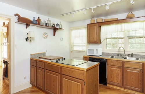 Warm Springs House | Pet-Friendly Cabin w/fireplace 3 min to hot spring pools