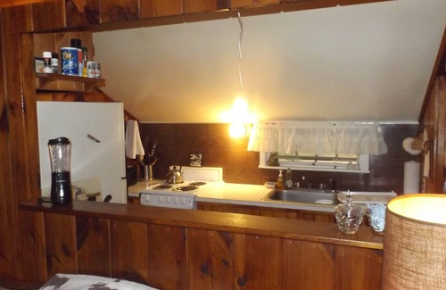 Denmark Cottage | Pet-friendly cabin with a sandy beach and breathtaking mountain views!