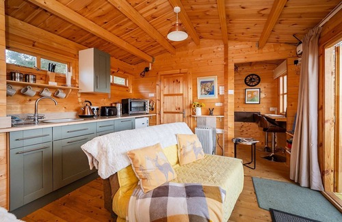 Surlingham Ski Chalet | Pet-friendly chalet in Surlingham, No deposit