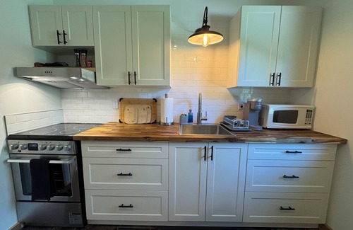 Proctor Cottage | Pet-Friendly Mountain-View Kootenay Cottage for single or couples, No pet fee
