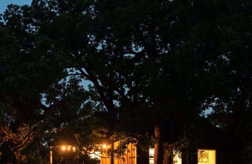 Elm Mott RV Rental | Pet Friendly The Robin Treehouse (15 MIN to Magnolia & Baylor)