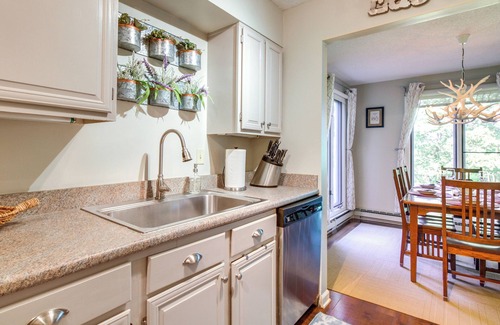 Nellysford Apartment | Pet-friendly Wintergreen Resort Condo w/Patio!