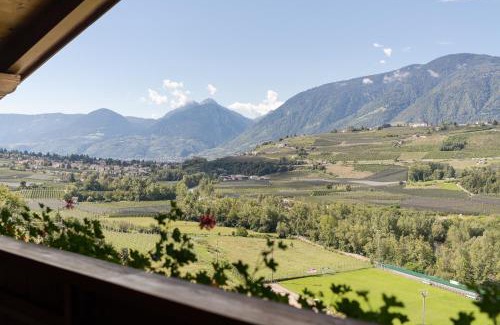 Schenna Apartment | Petaunerhof