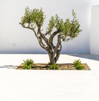 Naxos Villa | Petradia Villas
