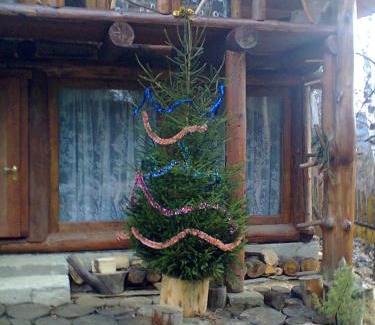 Tatariv Ski Chalet | PetrikHolm