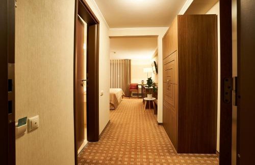 Piatra Neamt Hotel | Petrodava ONE