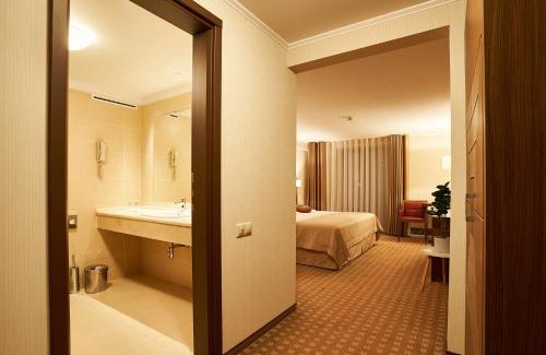 Piatra Neamt Hotel | Petrodava ONE