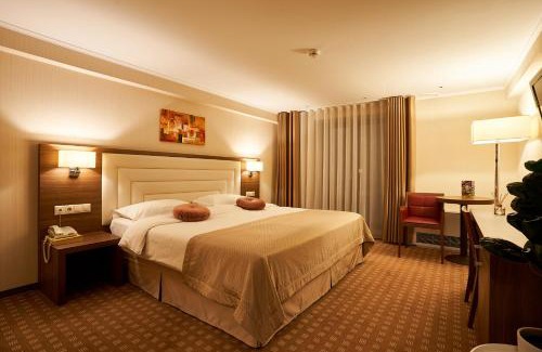 Piatra Neamt Hotel | Petrodava ONE