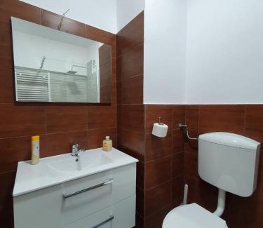Petrosani House | Petrosani Camere de Inchiriat - Hotel Petroshani srl