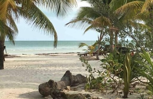 Isla Holbox Cabin | Pez Robalo Summary: N